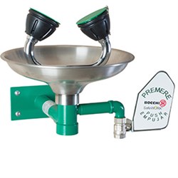 Аварийная раковина для промывки глаз настенная из нерж. стали с рычагом SC300SS, шт - фото 31515