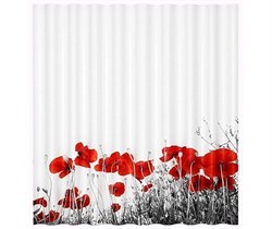 Main SC-47101 Шторка для ванной - фото 47585