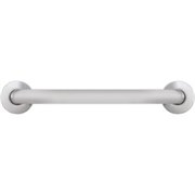 Поручень прямой 800 мм. матовый