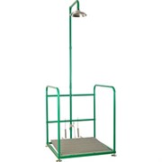 Аварийная платформа с душем SCP 800SS, шт