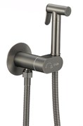 D184202-S Гигиенический душ со смесителем из латуни (Графит)