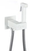 D184201-C Гигиенический душ со смесителем из латуни?белый)