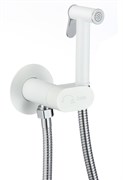 D184201-C Гигиенический душ со смесителем из латуни?белый)
