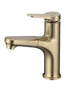 Смеситель для раковины/кухни с выдвижной лейкой D158367-J,  золотой сатин